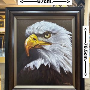 ภาพวาด นกอินทรี